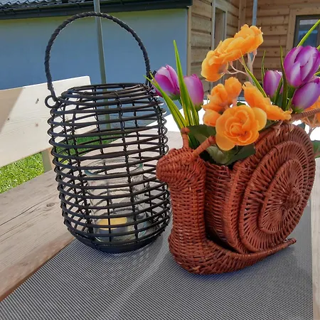 Homestay Goscinne Iwona Brzegi (Tatra)